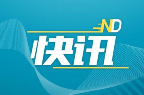 实习生泄露IPO材料事件，警示与反思