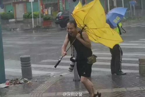 辟谣，暴雨后水中抓鱼并非明智之举