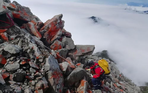 登山失联9天8夜获救，奇迹背后的故事