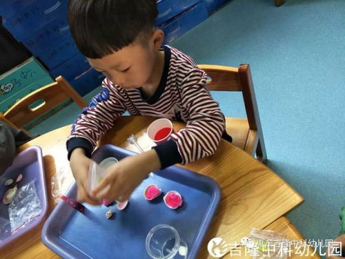 幼儿园大班科学小实验材料包