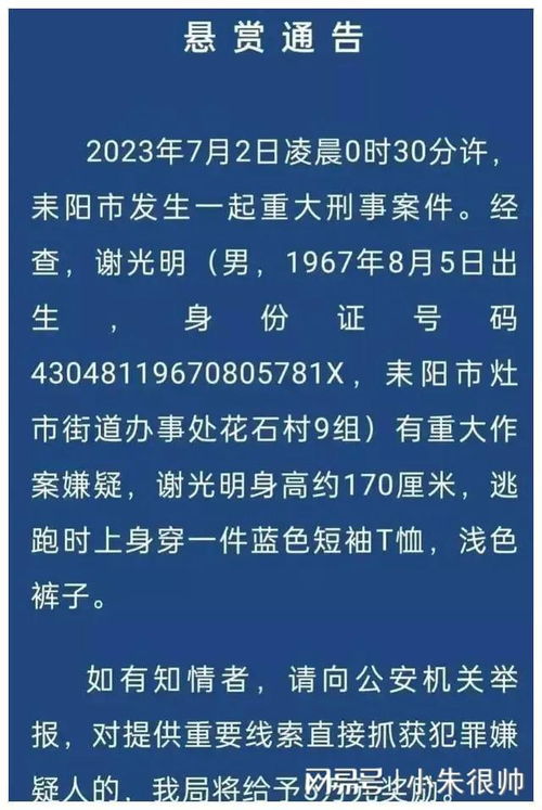 湖南发生重大刑案，深度探究背后的原因与影响