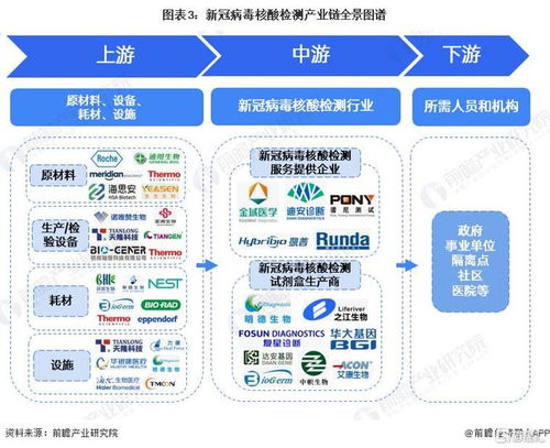 全球新冠感染率激增，挑战与应对策略