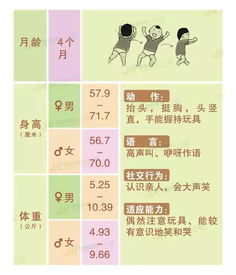 深度解析，四个月胎儿发育全图解，科学育儿从这里开始