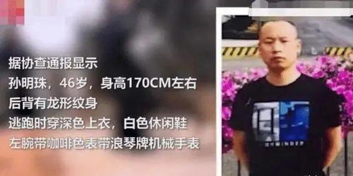 关于雪梨被曝吸毒事件的深度探讨