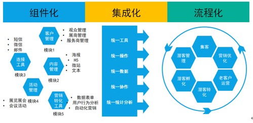 深度探索儿童智力开发，游戏引领未来智慧启航