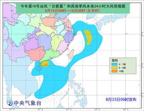 台风贝碧嘉登陆上海，城市应对与影响分析