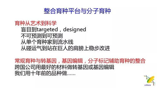 高校缩短建筑类学制，机遇与挑战并存