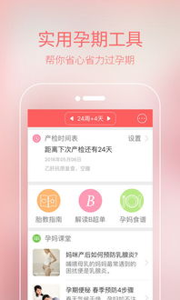 全方位呵护，孕期健康指南——打造理想孕育环境