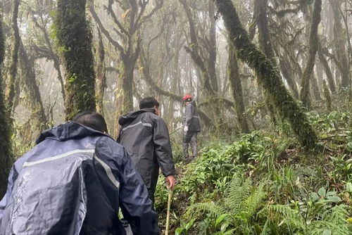 独闯哀牢山博主回应背后的故事与反思