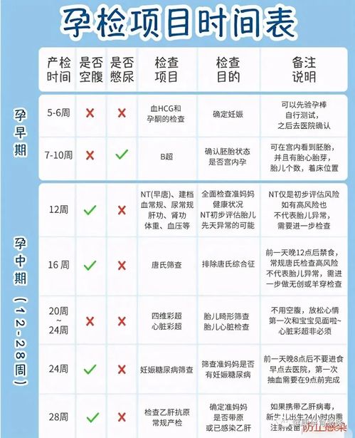 孕期全方位指南，关键的检查项目与精准时间安排