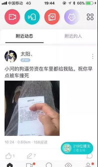 小虎行被拘，咎由自取