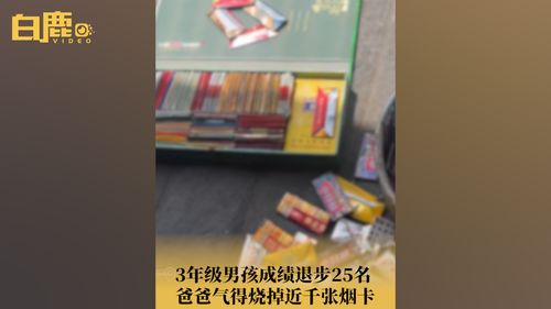 孩子集烟卡翻垃圾箱，盲目跟风与道德教育的缺失