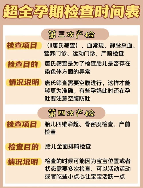 精准掌握孕期，何时能测出怀孕的科学指南