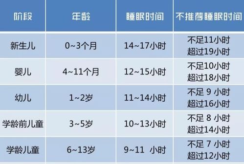 一周岁宝宝全面发育指标与关键技能培养指南