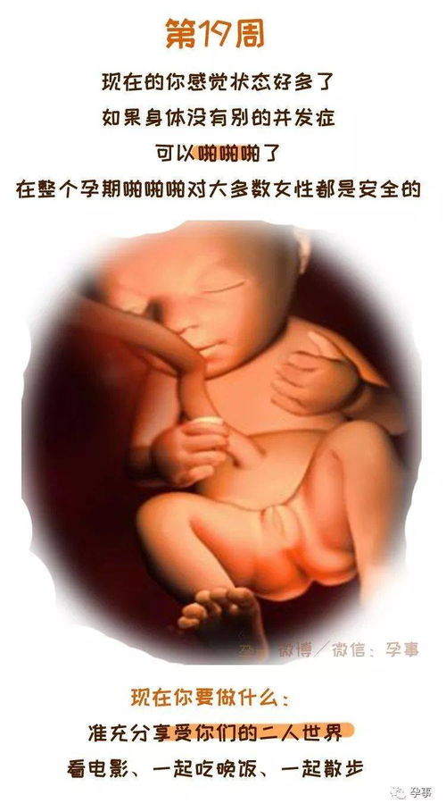 孕期12周，从新手到准妈妈的全面指南