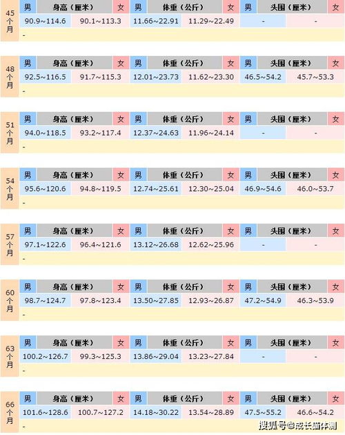 六个月宝宝发育里程碑，全面解读关键指标与成长指南