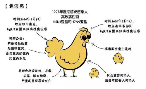 猪感染H5N1禽流感，一场跨物种传播的挑战