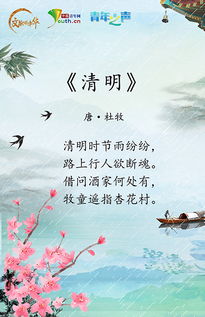 清明时节的诗韵教育，古诗词引导孩子感知传统与成长