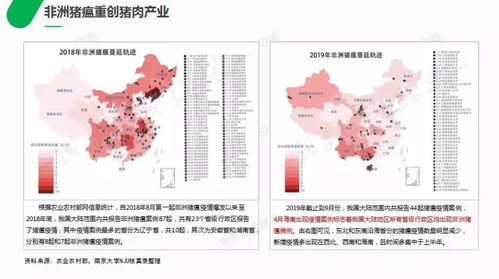 中企卷不动墨西哥人？解析两国经贸关系中的挑战与机遇