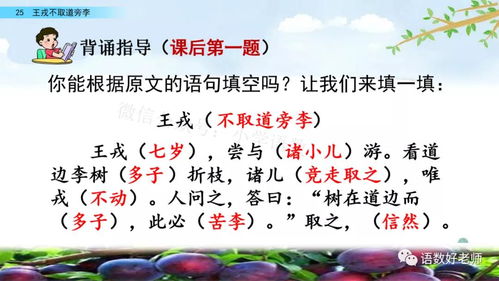 王戎不取道旁李的现代育儿启示——智慧选择与教养智慧