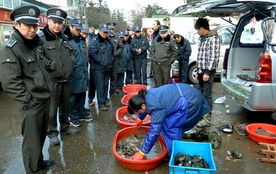 城管倒地事件，反思与启示