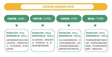 孕期营养与性别选择，科学解析与健康指南