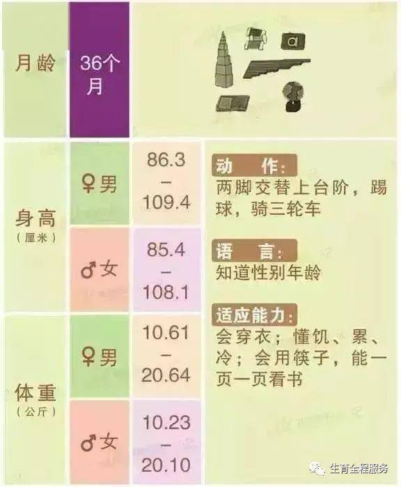 深度解析，8个月宝宝全面发育指标与成长关键期指南