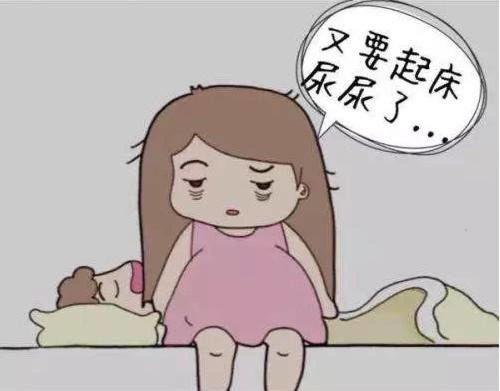 全面解读，从性行为到怀孕的女子生理图解——科学与关爱的结合