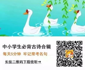 阳光育子，以诗歌引导孩子理解自然与成长