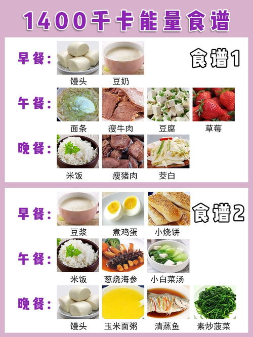 孕期营养宝典，孕妇专属食谱大全，健康孕育从每一餐开始