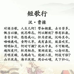 曹操的育儿智慧，解读短歌行中的教育哲理