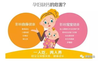 孕期中期全方位育儿指南，关键要点与健康守护秘籍