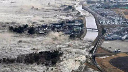 日本岩手地震，了解地震背后的故事