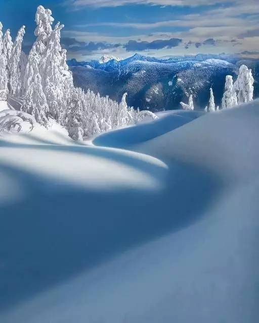 东北的雪，从洁白到发紫的奇妙旅程