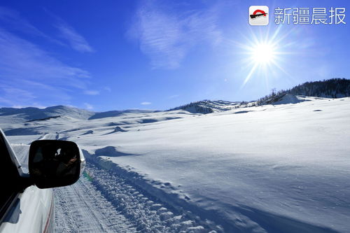 东北的雪，从洁白到发紫的奇妙旅程