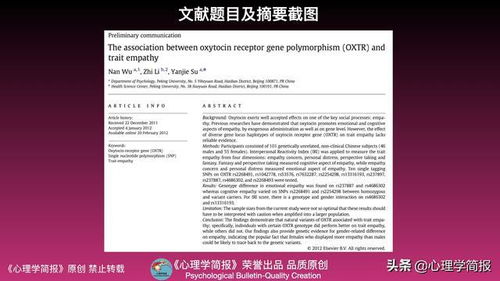 全解析，科学揭示孕期性别秘密，精准预测生男生女的智慧指南