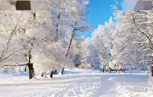 雪花的诗篇，穿越时空的冬日乐章