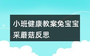 探秘生命密码，科学揭示宝宝性别的奥秘与温馨指南