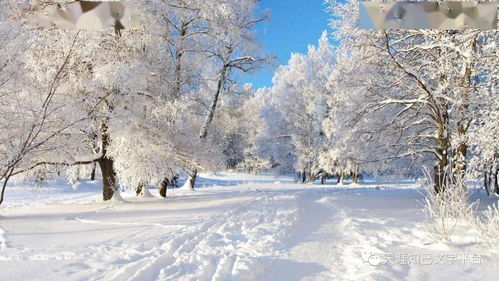 雪舞沁园春，一首穿越时空的壮丽诗篇