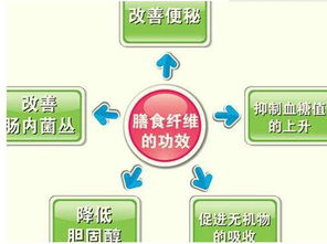 全方位指导，低体重儿的营养需求与奶粉选择——打造健康成长的起点