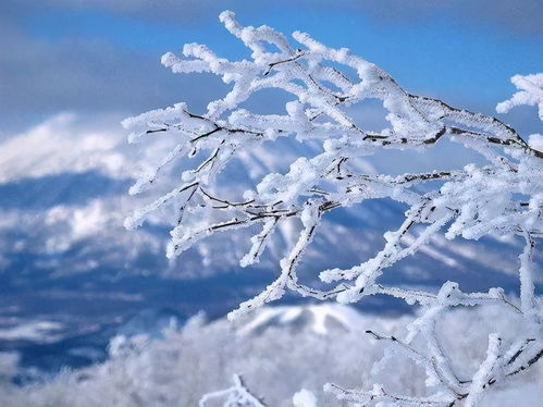 雪中诗意，穿越千年的冬日恋歌——解读雪景诗句的魅力