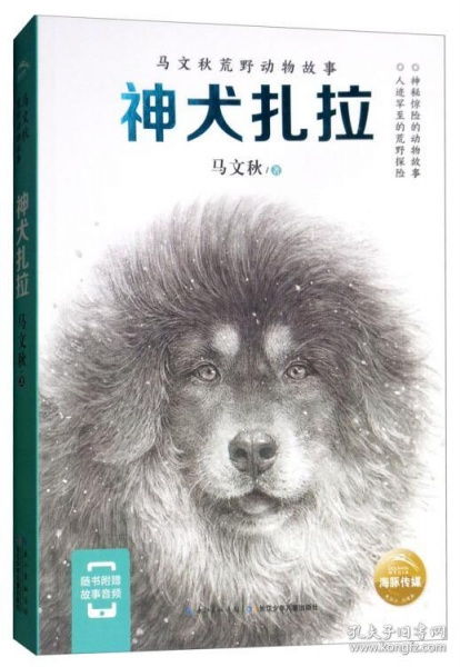 犬落荒野，丧家狗的文言文解读与现代启示