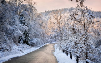 雪花的诗篇，解读中国古代咏雪的深邃意韵