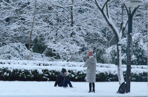 雪中的深情诗篇，在冬日暖意中探寻下雪天最美的诗句