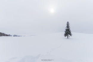 雪花的诗篇，走进下雪的诗意世界