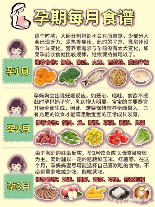 孕期营养宝典，8个月准妈妈的专属食谱指南