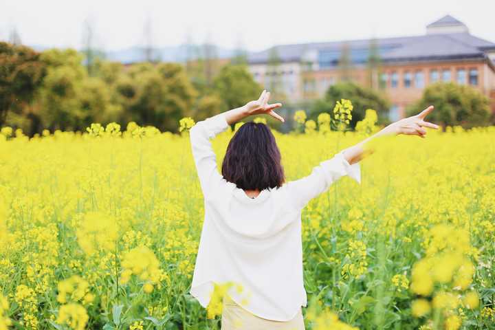 油菜花下的亲子教育，诗意引导孩子认识自然与生活