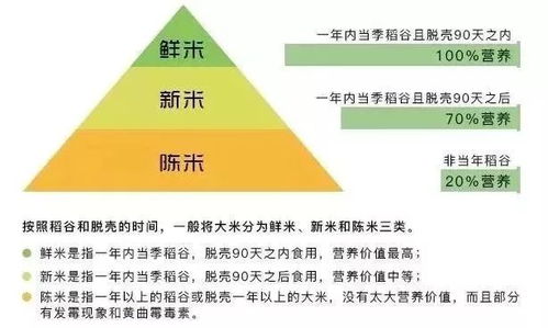 破解洋奶粉迷思，理性选择与安全守护——以专业视角解析中国父母的育儿焦虑