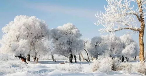 银装素裹赞大雪，诗韵悠扬启冬思——深度解析大雪节气的诗词魅力