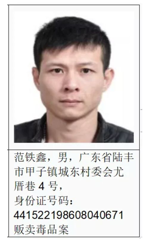 王大陆涉逃兵役事件深度解析，从法律角度探讨公众人物的社会责任